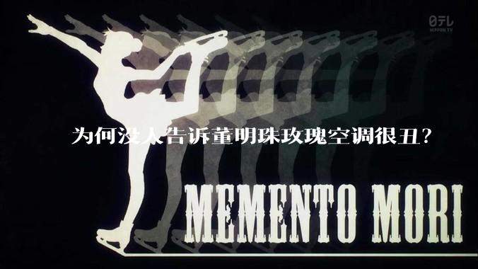 为何没人告诉董明珠玫瑰空调很丑？
