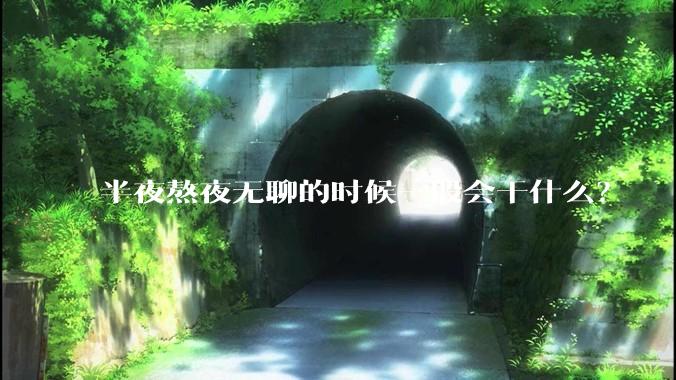 半夜熬夜无聊的时候一般会干什么？